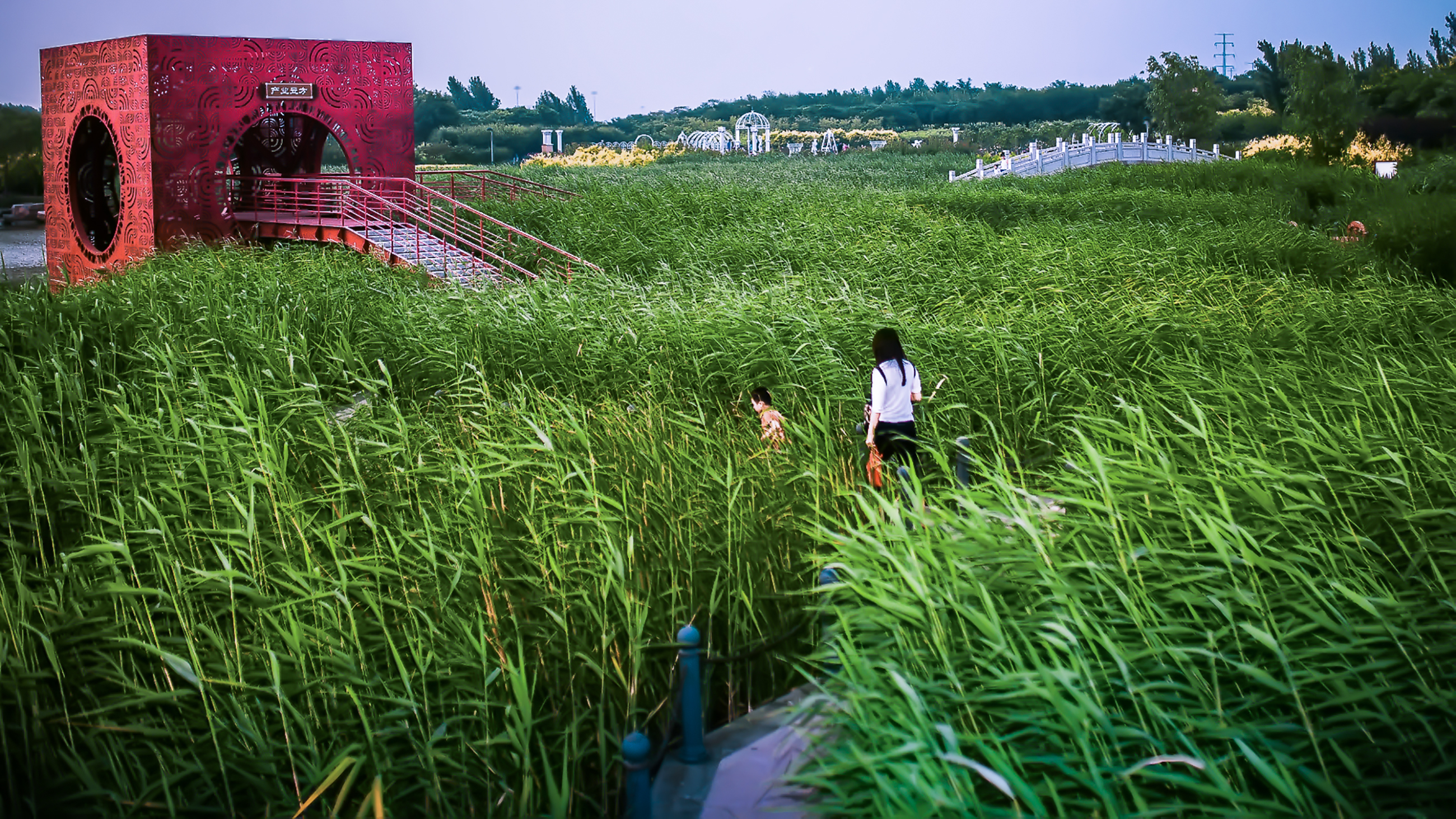 臨港生態濕地公園 (9).jpg